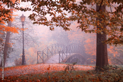 Pejzaż jesienny. Mglisty poranek w parku. Spacer i tajemniczy klimat miejsca. Kolorowe jesienne liście na drzewach. Polska