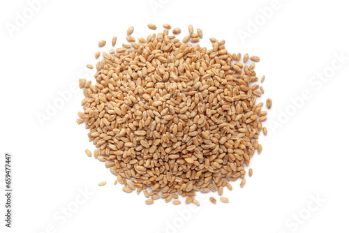 Pile of organic Wheat Grains (Triticum) or caryopsis fruits isolated on a white background. Top view