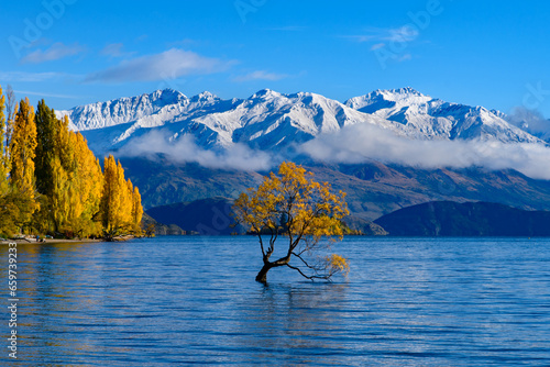 Wanaka tree and Lake Wanaka in autumn, New Zealand