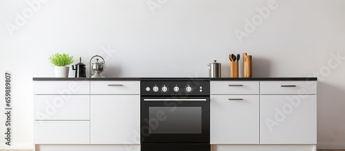 Contemporary kitchen with electric and gas stoves sleek minimalist design