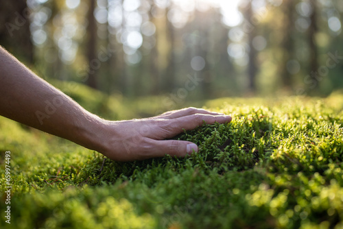 Man plants lover touching green soft moss in autumn forest, hand close-up. Guy feels fluffy surface enjoys pastime outdoors on nature. Explore world protect nature save planet eco-friendly lifestyle.