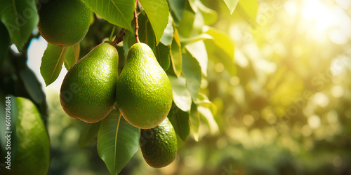 pear on tree, nut, green, isolated, ripe, pear, nature, food, fruit, branch, generative AI
