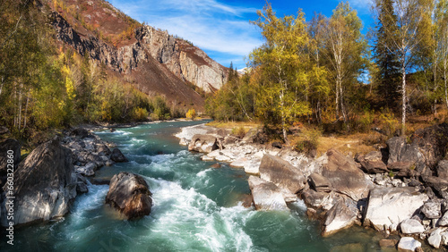 Colorful autumn panoramic landscape with golden leaves on trees along turquoise stormy mountain river in sunshine. Bright scenery with mountain river and yellow trees in autumn colors in fall time.