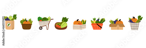 Vegetables. Grocery products in eco package, box and bag, trolley and basket. Modern shopper with fresh organic healthy vegetarian food. Local market. Autumn harvest cartoon flat vector illustration
