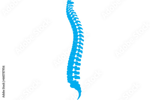 Digital png illustration of blue human spine on transparent background