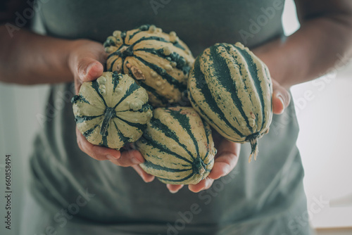 Close up of woman hands holding and showing green pumpkins. October concept lifestyle and food. Vegetables and raw ingredients. Autumn people lifestyle. Indoor cooking at home. Farmer products