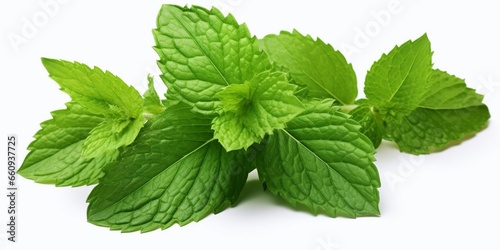 Mint leaf. Fresh mint on white background. Mint leaves isolated. Full depth of field. : Generative AI