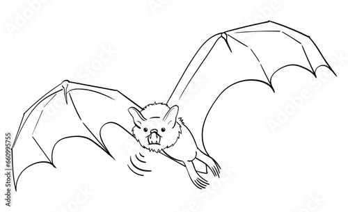 bat flying in the air line art