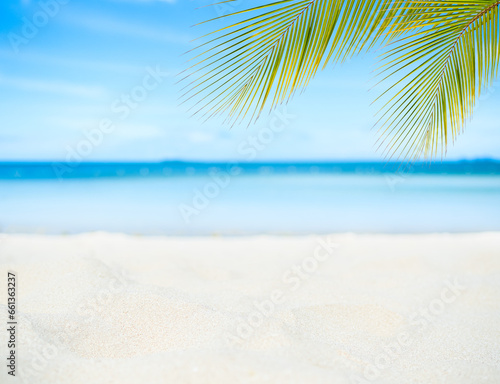 Sea Background Shore Blue Water White Sky Season Palm Leaf Summer Tropical Ocean Beautiful Wave Seascape Vacation Smooth Wallpaper Island Outdoor Tropical Coast Sandy Nature Landscape Space for Travel