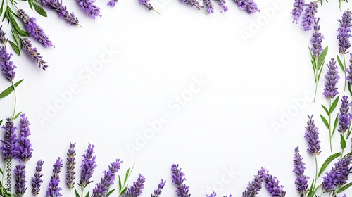 Lavender flowers and leaves frame and border isolated on white background. Top view, flat lay. Creative layout. Floral design element. Healthy eating and alternative medicine concept