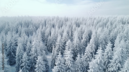 Winter Wonderland Drone View of SnowCovered Evergre