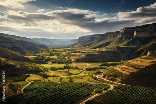 Lush vineyards stretch across La Rioja, Spain. Generative AI