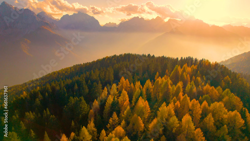 AERIAL: Mesmerizing view of high mountains and golden larch trees at sunset