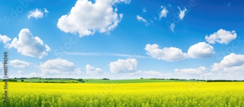 Scenic summer landscape with stunning sky With copyspace for text