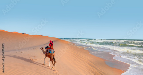 Sahara desert with Atlantic ocean meets - A woman in a red turban riding a camel across the thin sand dunes of the in Western Sahara Desert, Morocco, Africa