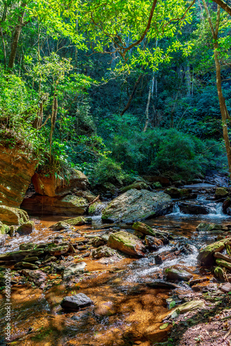 Dense rainforest vegetation crossed by the river amidst the rocks in Minas Gerais, Brazil