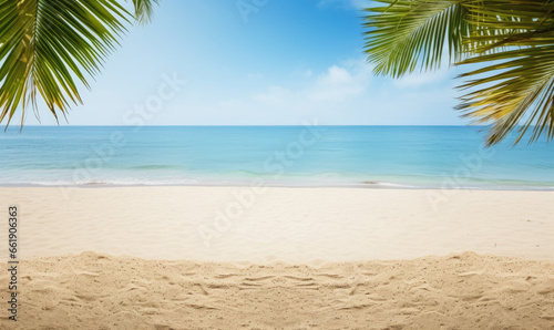 Sunlit sand foreground with a soft-focus palm tree.