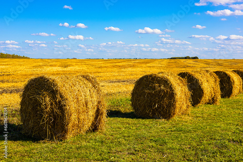 A roll of dry hay lies in a field.