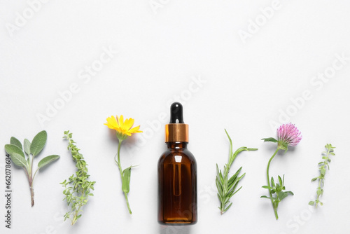 Bottle of essential oil, different herbs and flowers on white background, flat lay