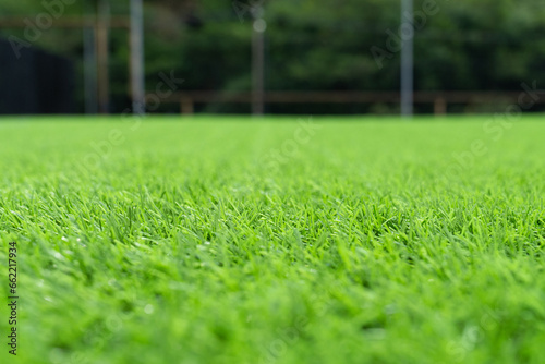 Artificial grass close-up. Artificial turf background. Artificial turf of Soccer football field. Short cut real grass on the edge of the pitch in the stadium.