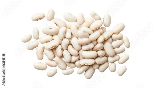 white bean isolated on transparent background cutout