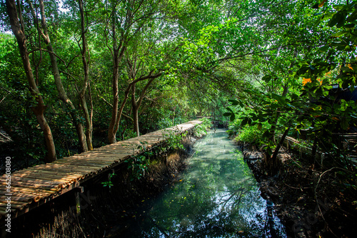 Mangrove natural tourist park located at Pantai Indah Kapuk, Muara Angke, Jakarta. One of the green areas in Jakarta which is also a tourist destination.