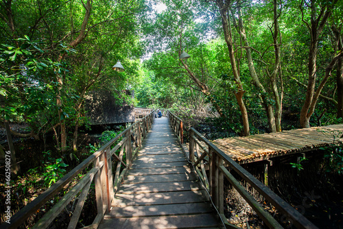 Mangrove natural tourist park located at Pantai Indah Kapuk, Muara Angke, Jakarta. One of the green areas in Jakarta which is also a tourist destination.