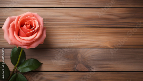 Rose (Rosa) Flower on Wooden Background with Copy Space