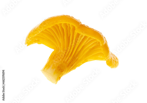 Yellow chanterelle mushrooms isolated on white background