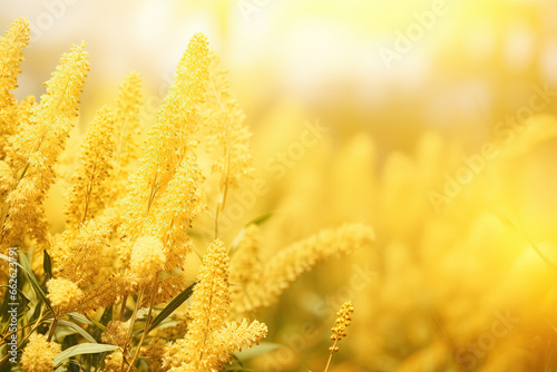Warm goldenrod background, ideal for soft summer designs