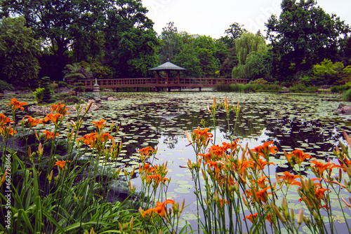 Pond at Japanese Garden in Wroclaw, Poland. The garden was founded in the years 1909–1913 as an exotic botanical garden and is located in the Srodmiescie district, near the Centennial Hall.