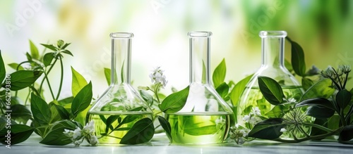 Extracting organic compounds from herbal leaves to create a laboratory solution with a floral scent With copyspace for text