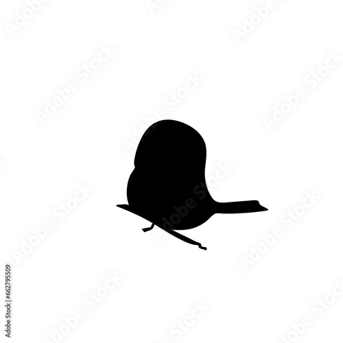 silhouette of birds