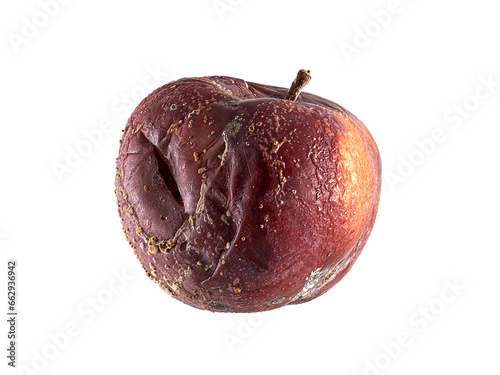 rotten apple fruit isolated on white. side view rotten apple on a white background