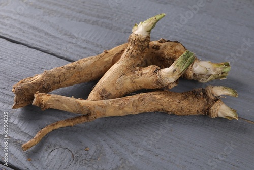 Fresh raw horseradish roots on grey wooden table, closeup