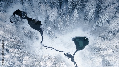 Aerial view of Saula Siniallikas spring lakes in Harju County, Estonia in a blanket of snow