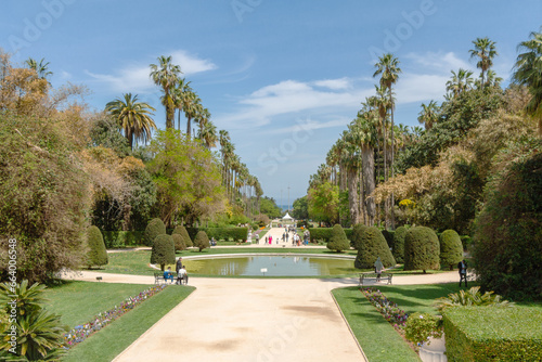 Beautiful vegetation perspective in the Jardin d'Essai du Hamma. English : Test Garden Hamma. Algiers, Alger, Algeria.