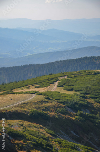 malownicze górskie widoki na szlaku w Beskidzie Żywieckim na Babią Górę
