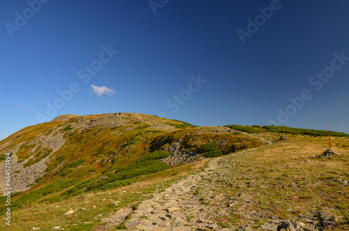 malownicze górskie widoki na szlaku w Beskidzie Żywieckim na Babią Górę