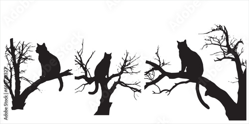 Cat sitting on the tree branches silhouette vector illustration