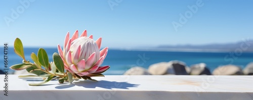 Abstract backdrop for beauty, SPA product, advertising. Exotic pink protea with ocean view on the background. AI generated image