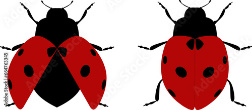 ladybug silhouette and vector ustration design