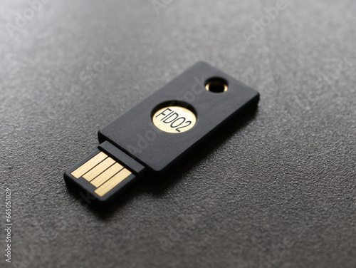 FIDO2 concept image, a physical USB key can replace passwords