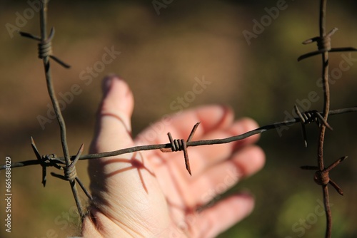 barbed wire in hand gulag