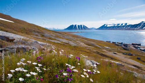 wallpaper norway landscape nature of the mountains of spitsbergen longyearbyen svalbard on a flowers polar day with arctic summer in the sunset