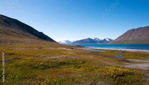 wallpaper norway landscape nature of the mountains of spitsbergen longyearbyen svalbard on a flowers polar day with arctic summer in the sunset