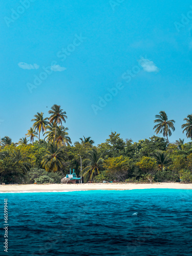 Stock photo of a local Island beach in the Maldives shot vertically