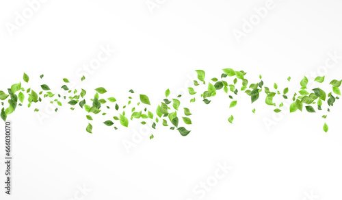 Green Greenery Herbal Vector White Background