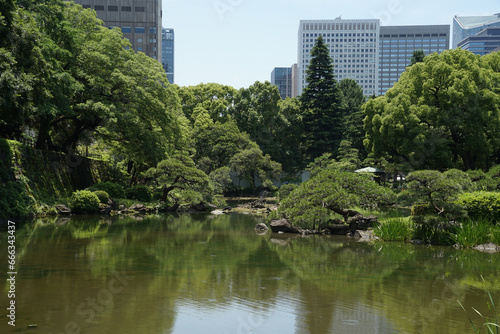 Tokyo Hibiya Park Forest Landscape