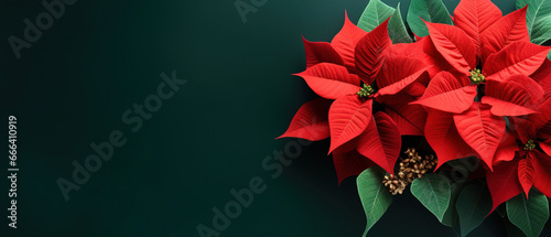 minimalistic background with poinsettia Christmas star, top view with empty copy space